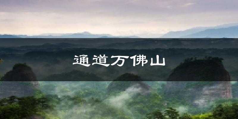 通道万佛山气温
