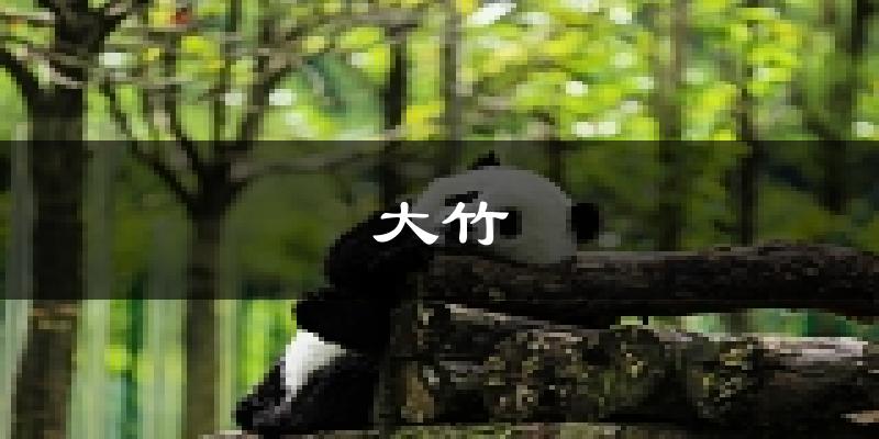 大竹天气预报未来一周