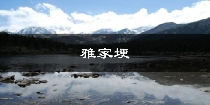 雅家埂今日天气