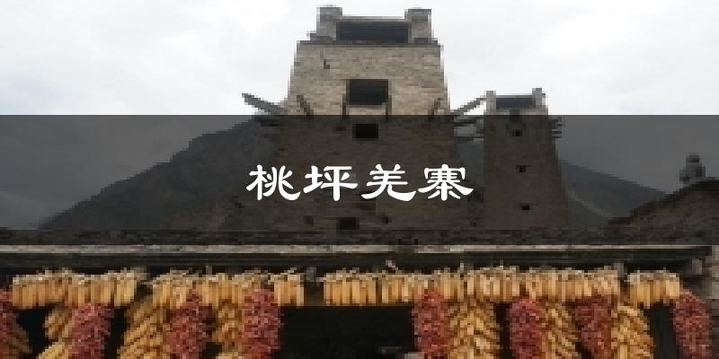 桃坪羌寨今日天气