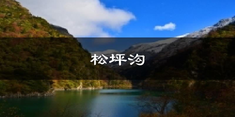 松坪沟今日天气