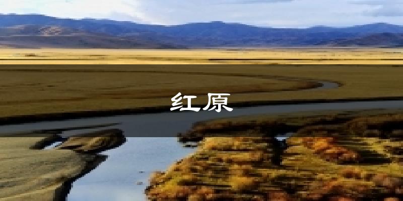 红原今日天气