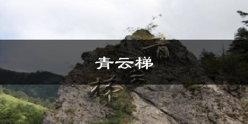 青云梯天气未来15天