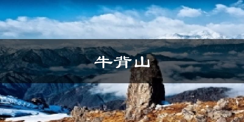 牛背山今日天气