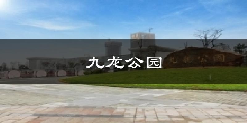 九龙公园气温