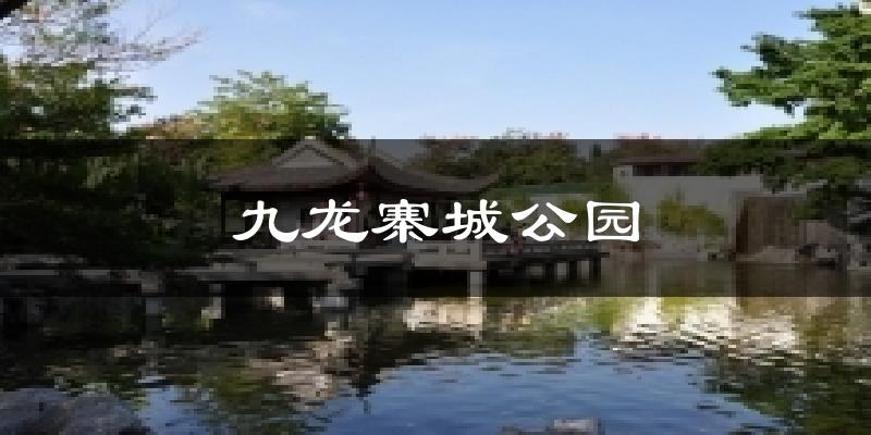 九龙寨城公园气温