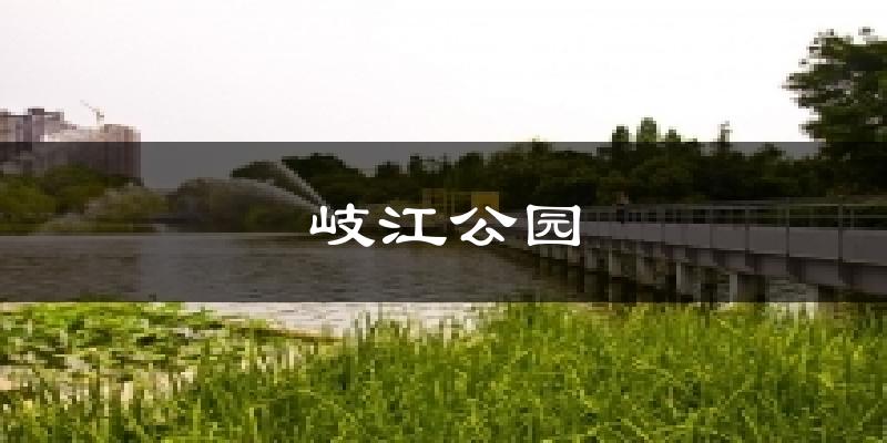 岐江公园气温