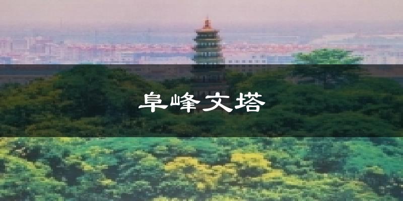 阜峰文塔天气未来15天