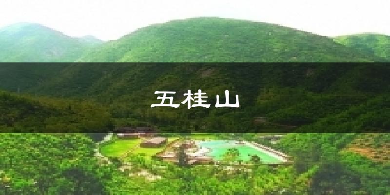 五桂山气温