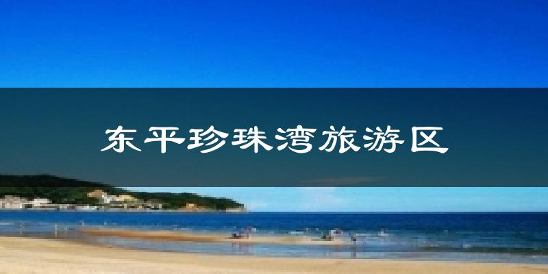 东平珍珠湾旅游区天气未来15天