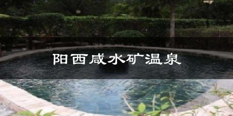 阳西咸水矿温泉今日天气