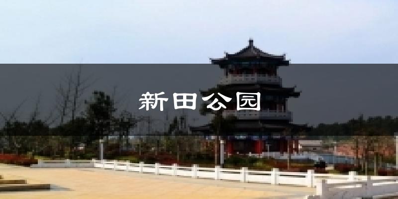 新田公园今日天气