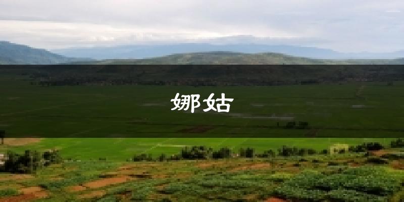 娜姑气温