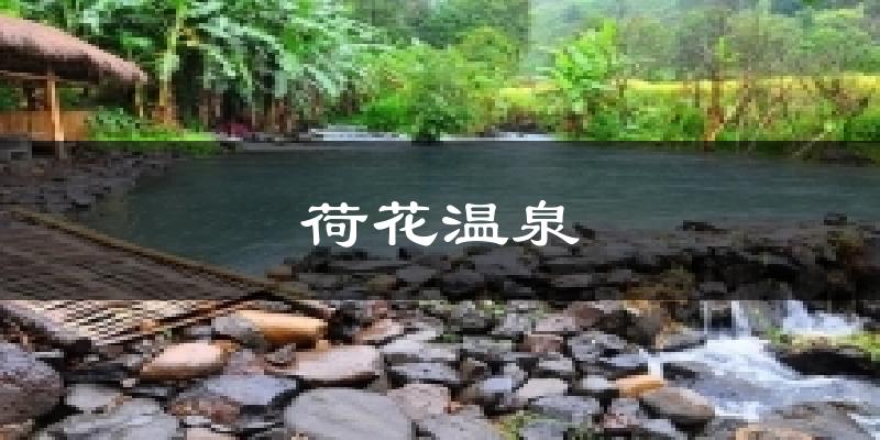 荷花温泉气温