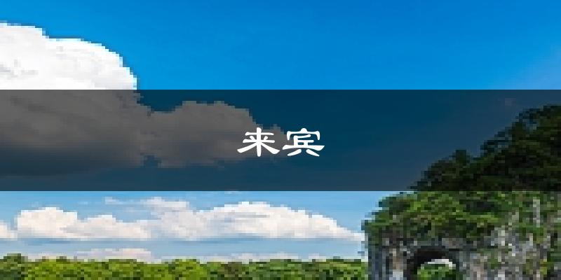 来宾天气预报未来一周
