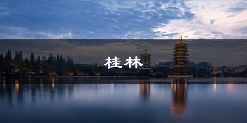 桂林天气预报未来一周