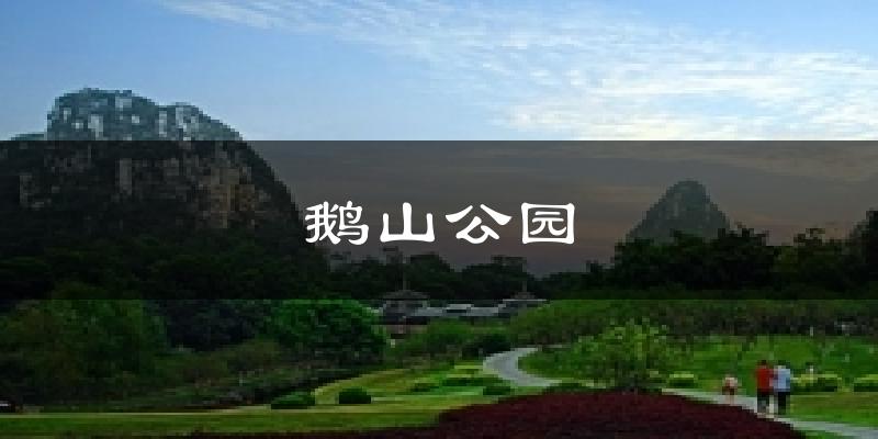 鹅山公园今日天气