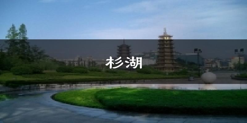 杉湖气温