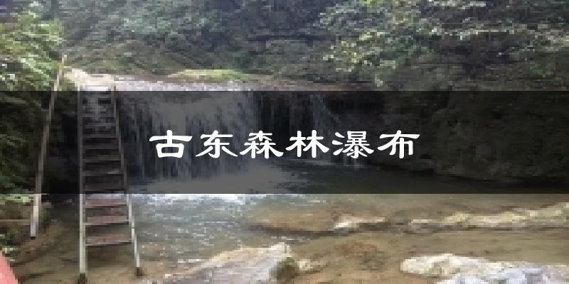 古东森林瀑布气温