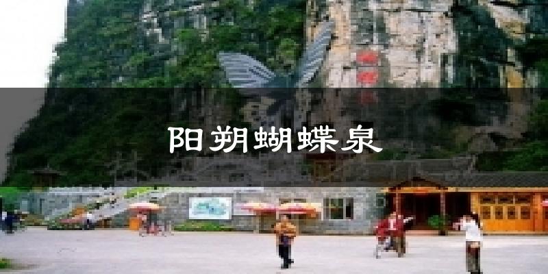 阳朔蝴蝶泉今日天气
