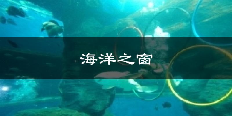 海洋之窗气温