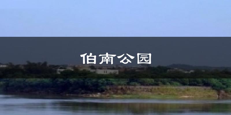 伯南公园气温