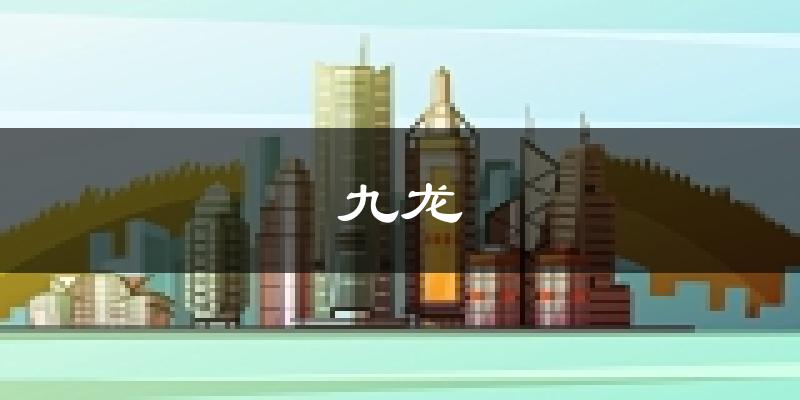 九龙天气预报未来一周