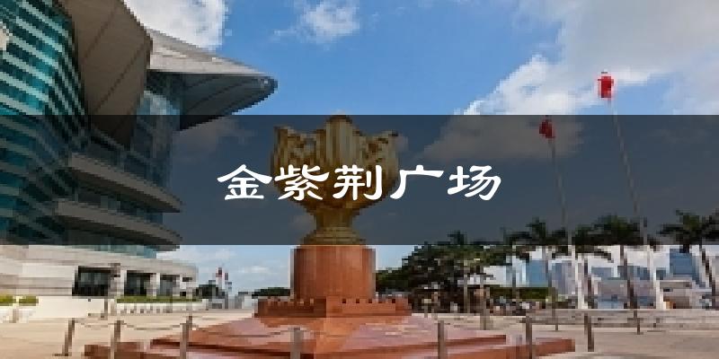 金紫荆广场气温