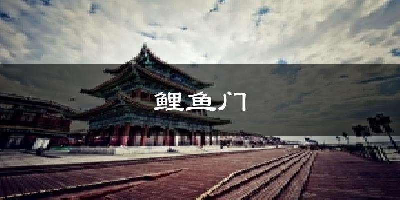 鲤鱼门气温