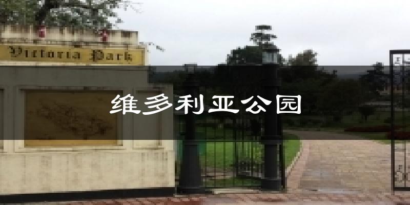 维多利亚公园气温