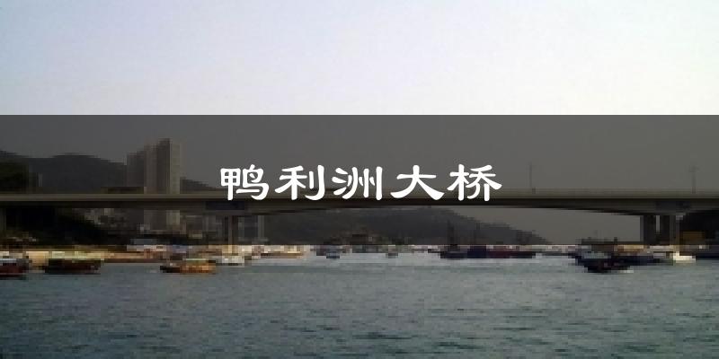 鸭利洲大桥气温