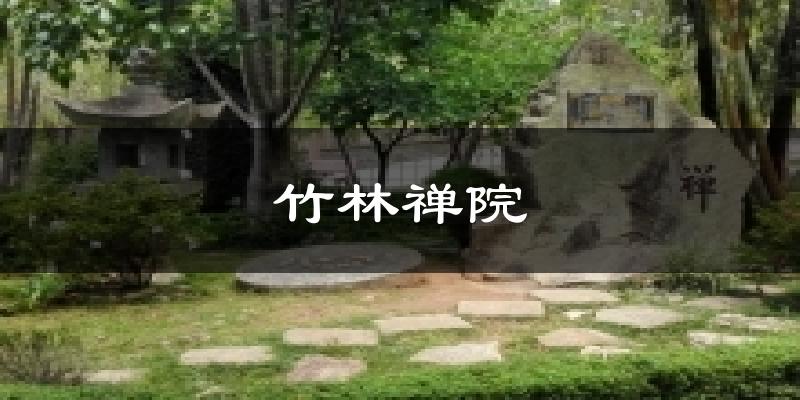 竹林禅院气温