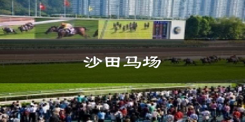 沙田马场气温